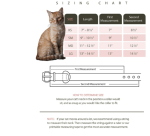 Susan Lanci Cat Collars Size Chart